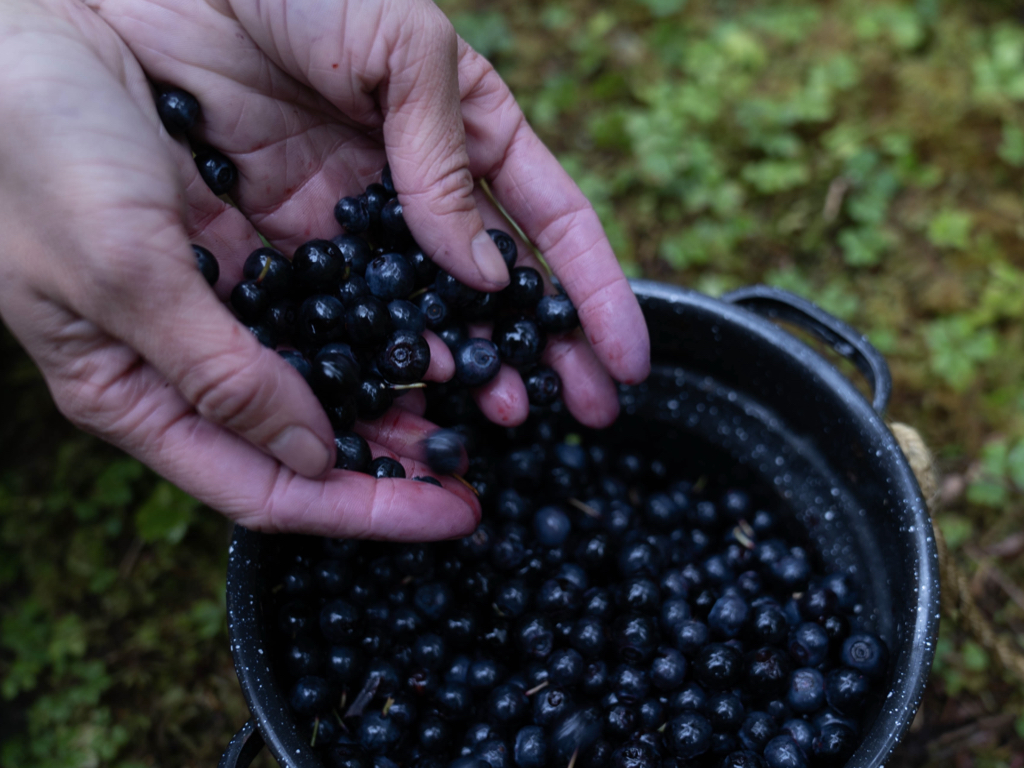 Rebalancing Native Diets with Subsistence Foods in Cordova, Alaska