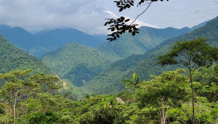 fundacion-sobrevivencia-cofan-galeria2-01