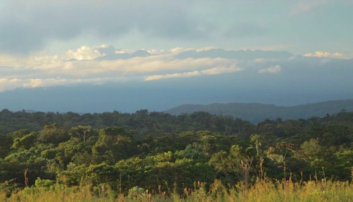 fundacion-sobrevivencia-cofan-galeria6-01