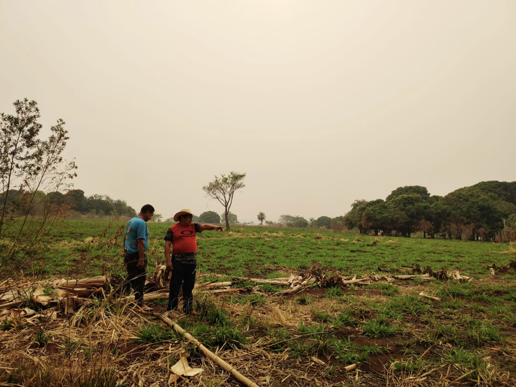 Yvy Marane’y “Land Without Evil” Institute