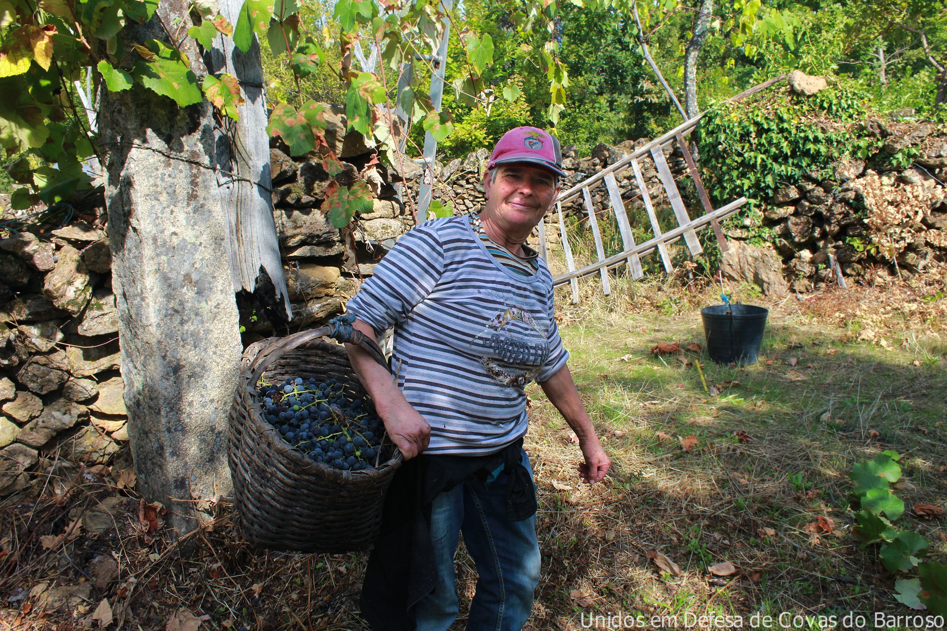 142743164_931841577565983_3246430788822908945_n