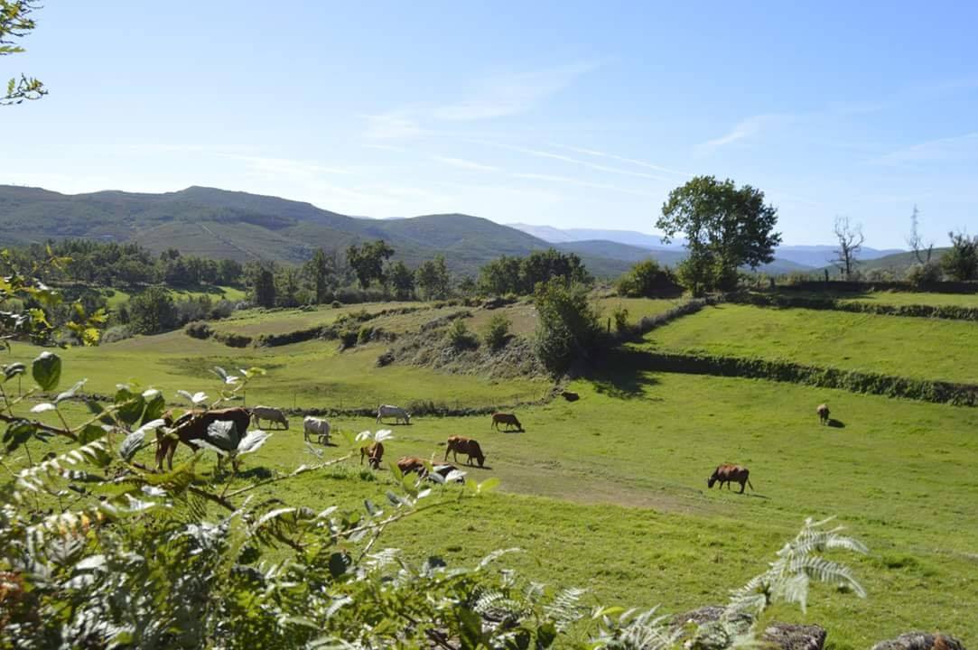 43662679_339503800133100_4064701076920598528_n