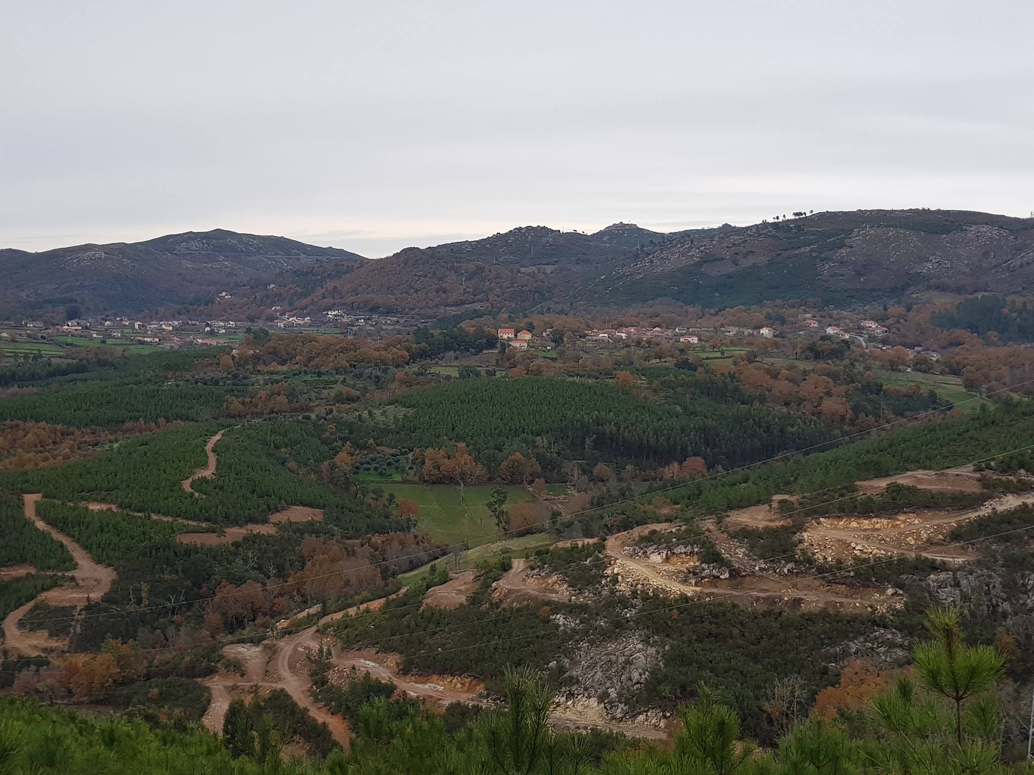 49564077_386794558737357_7770900013873364992_n