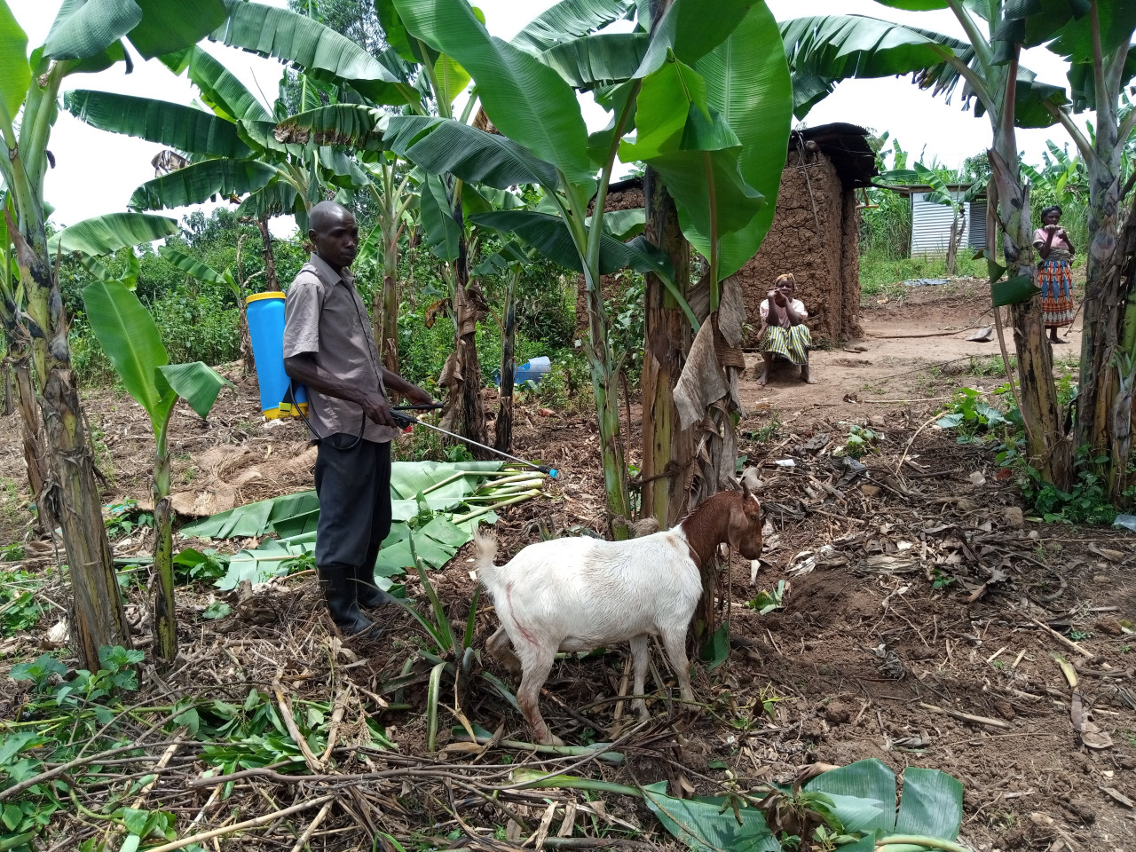 b2ap3_large_BCH_UpdateJune2024_3