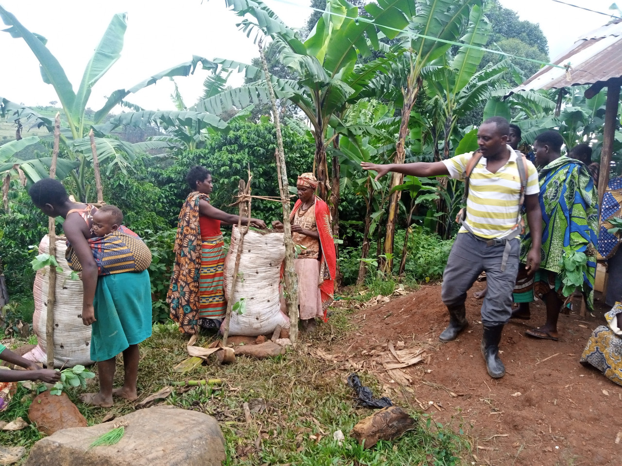 b2ap3_large_BCH_UpdateJune2024_7