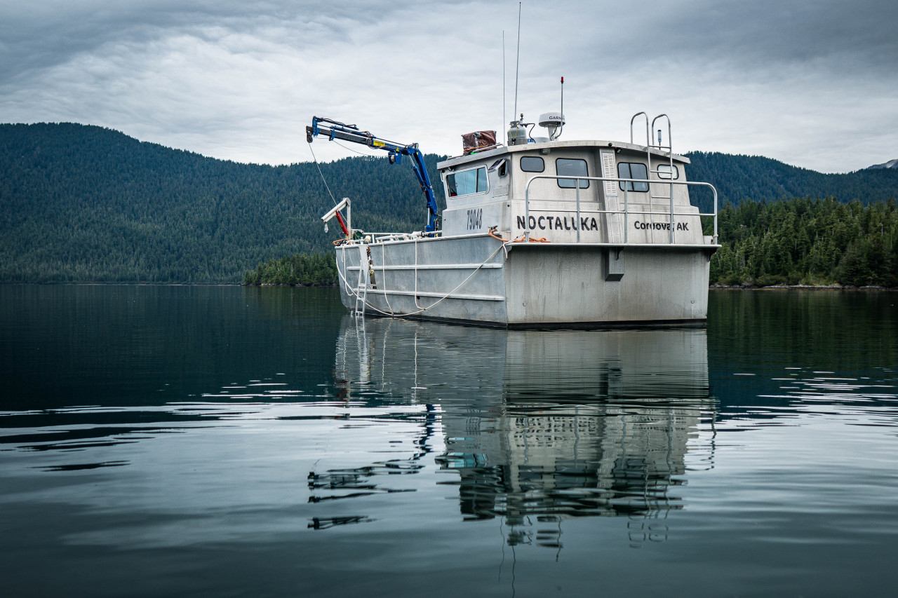 b2ap3_large_NC_Noctaluka_Kelp_Harvest_01_AG