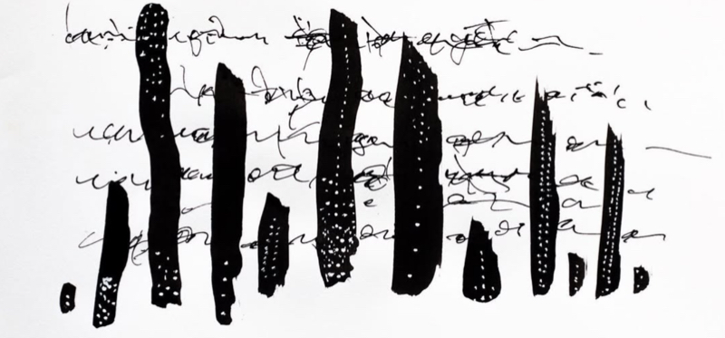 Connecting the Dots with Suzane Lima Costa (Letters from Indigenous Peoples to Brazil project)